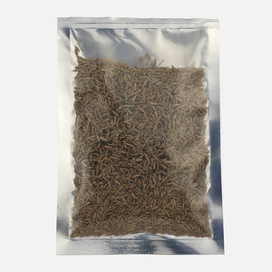 Flat Clear Silver Pouch (Pack of 100)