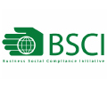 bsci logo